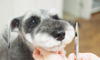 仕上がりが早い