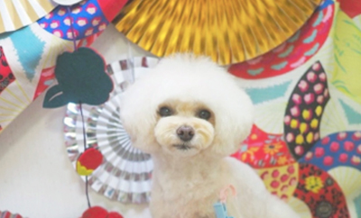 必ず可愛く仕上げます