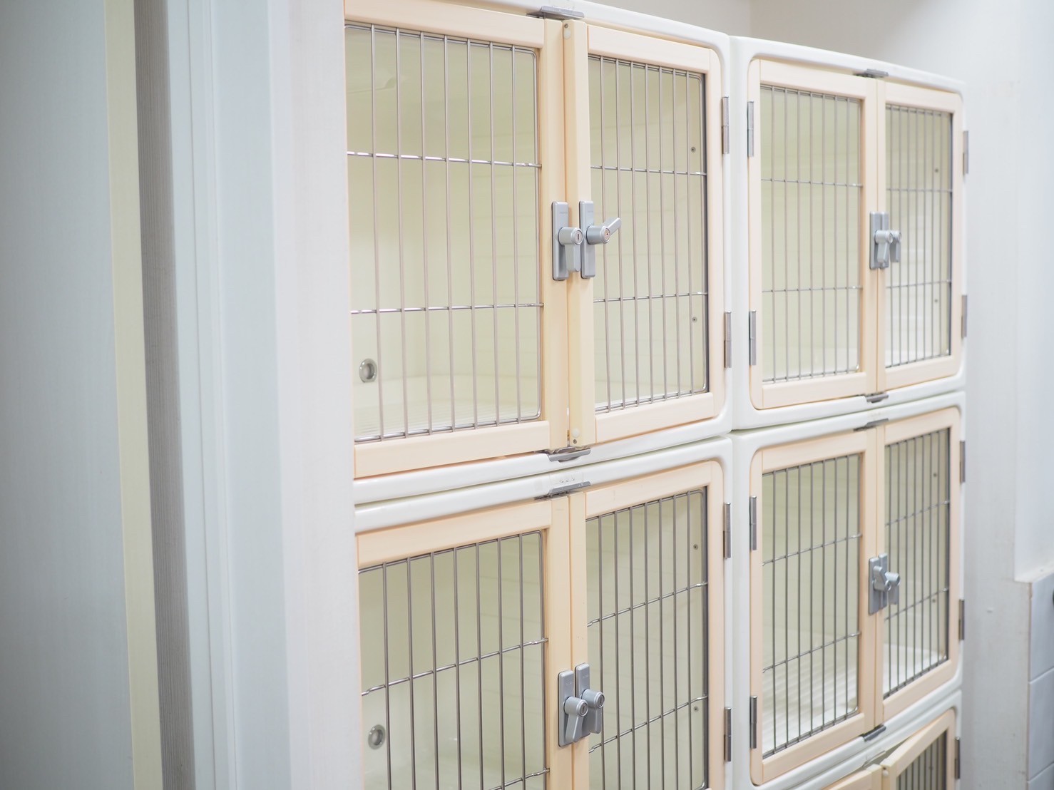 スタンダードタイプ