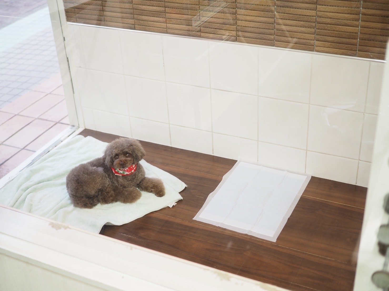 スイートタイプ