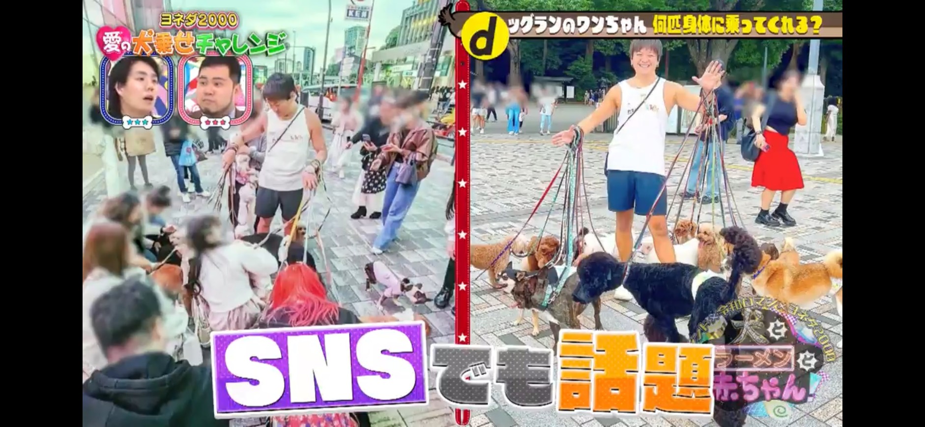 メディア掲載：集団遠足の様子