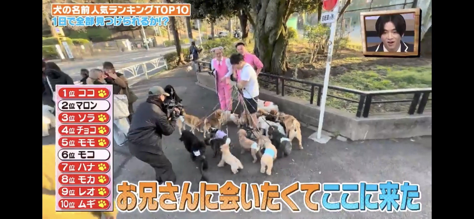 メディア掲載画像2