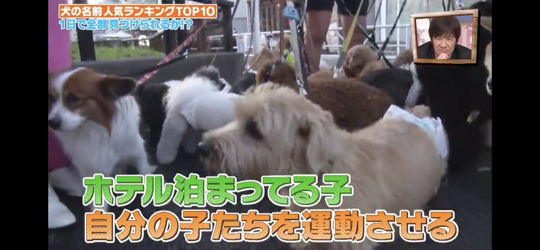 メディア掲載画像3