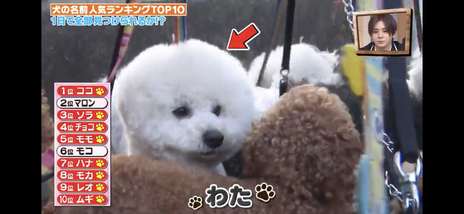 メディア掲載画像4