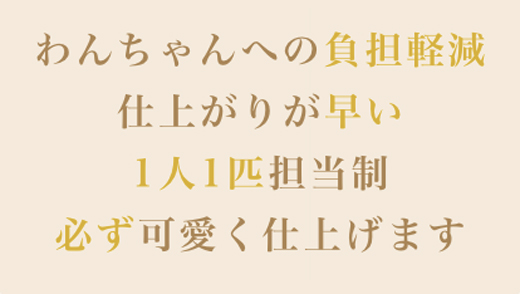 ワンちゃんへの負担軽減 仕上がりが早い 1人1匹担当制 必ず可愛く仕上げます