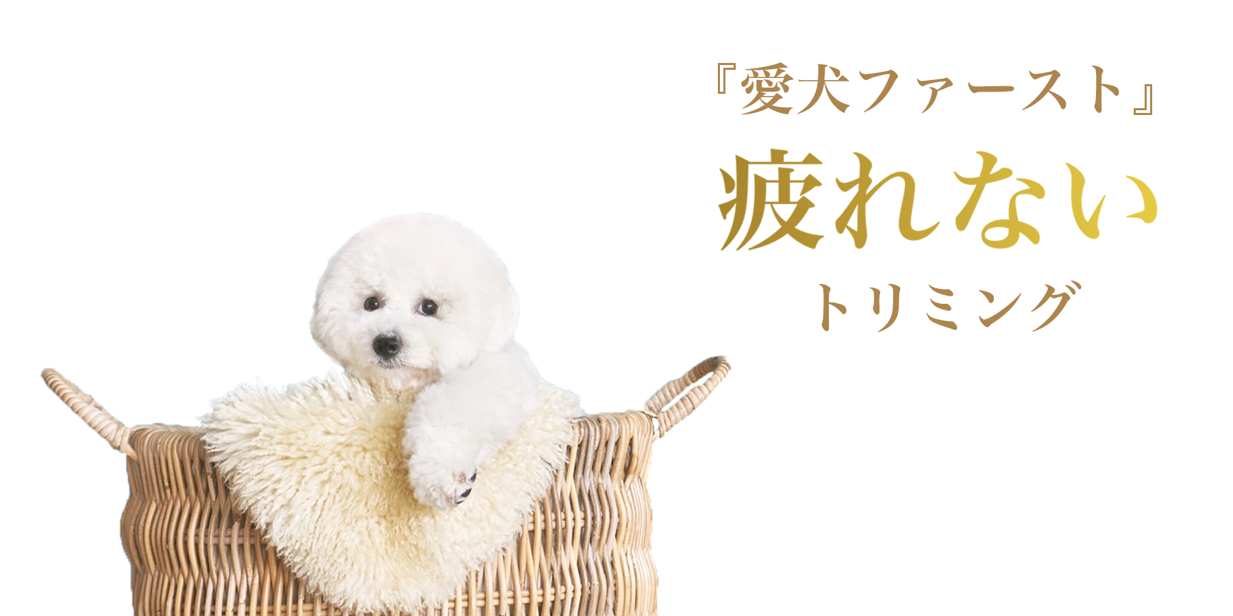 絶対に笑顔にします