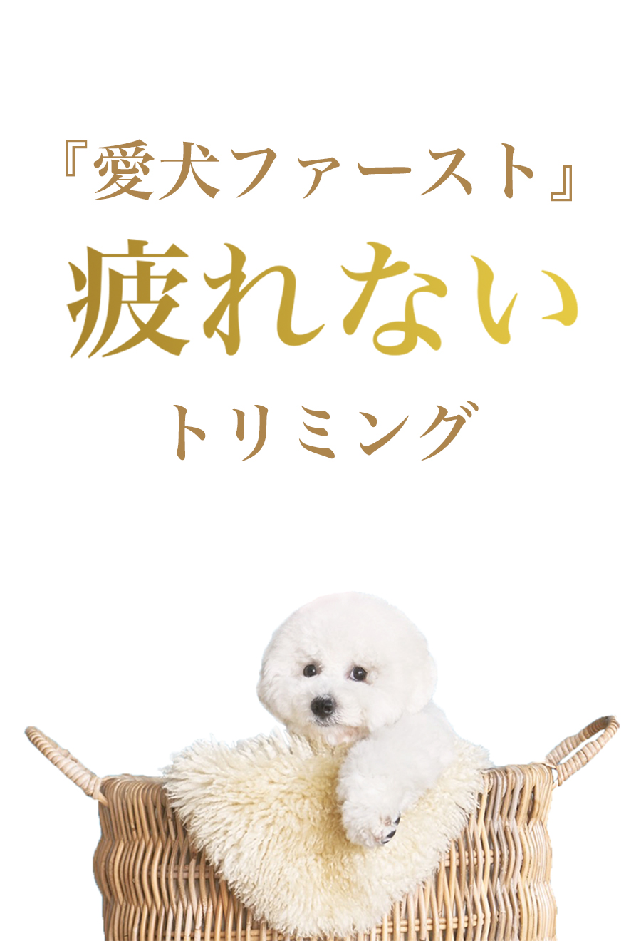 絶対に笑顔にします