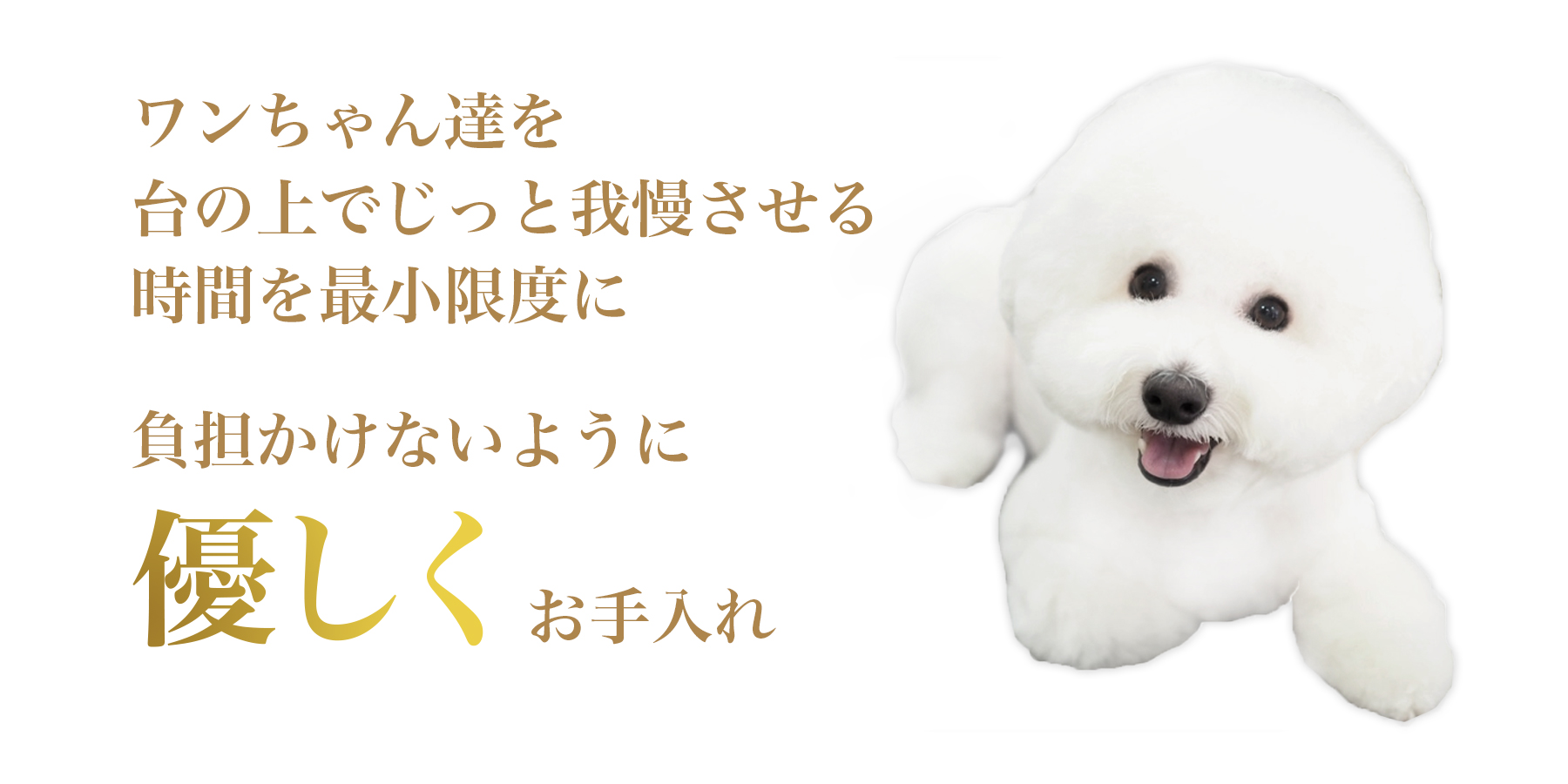 負担をかけないように優しくお手入れ