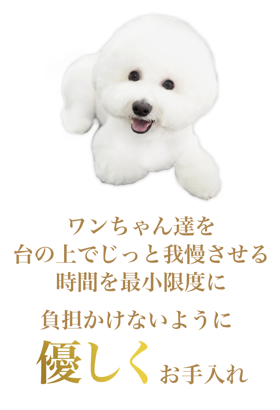 負担をかけないように優しくお手入れ