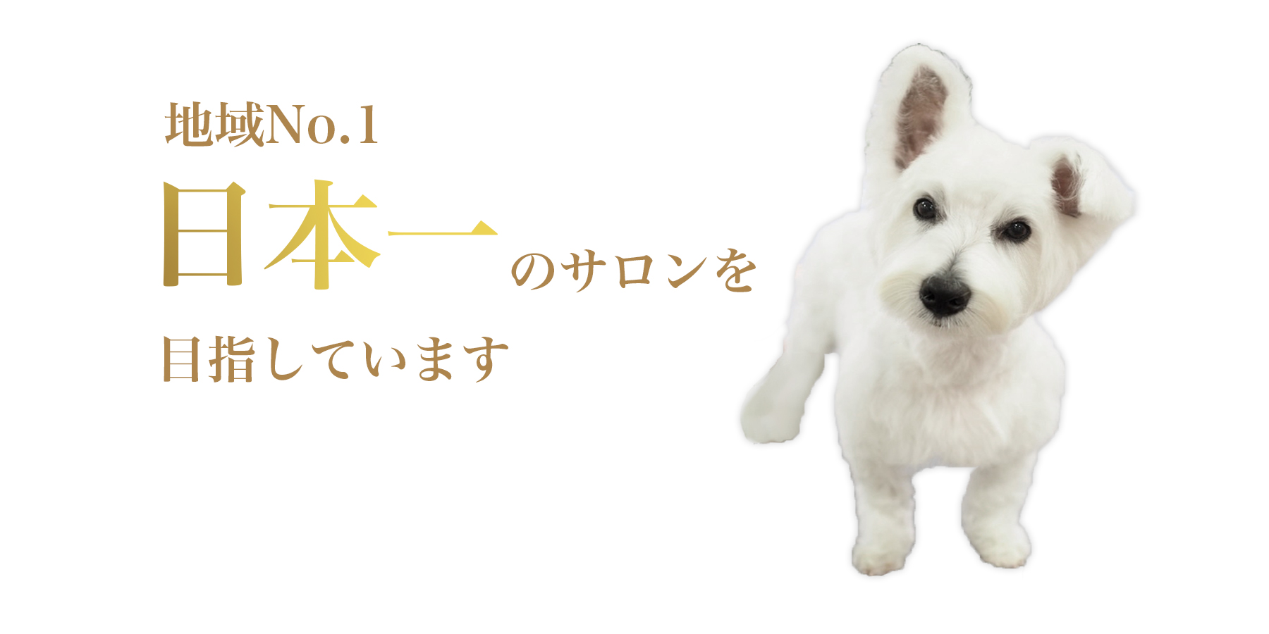 地域1番日本一のサロン目指してます