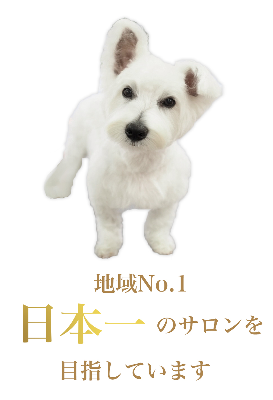 地域1番日本一のサロン目指してます