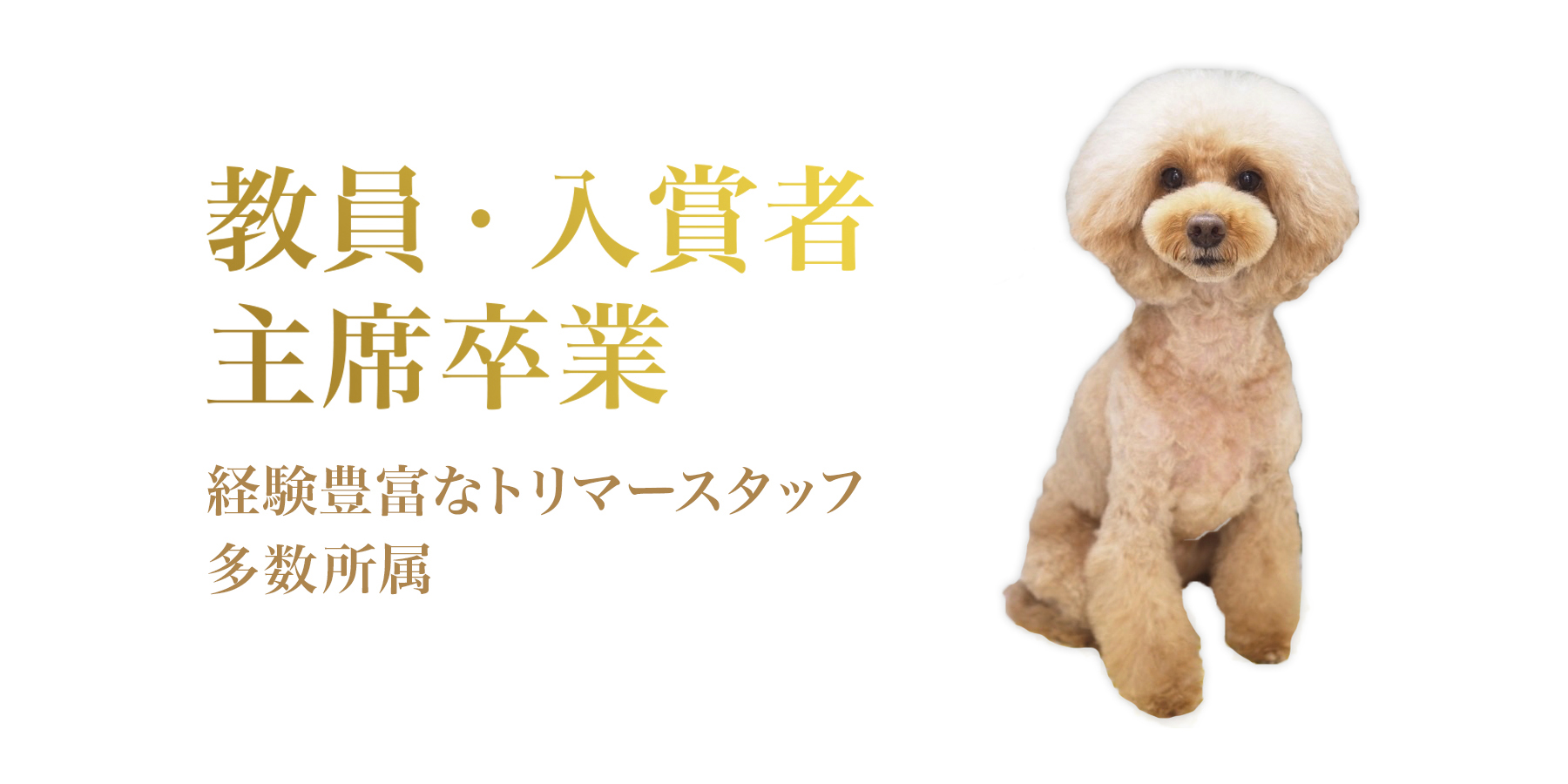 主席卒業、入賞者、教員などの経験豊富なトリマースタッフ多数所属してます