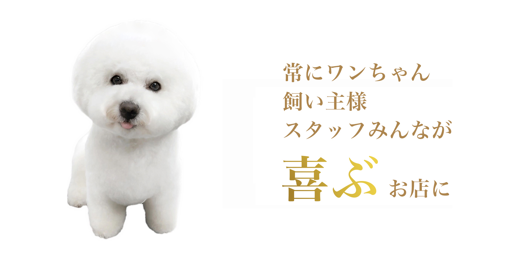 犬、飼い主様、スタッフ、みんなが喜ぶお店に