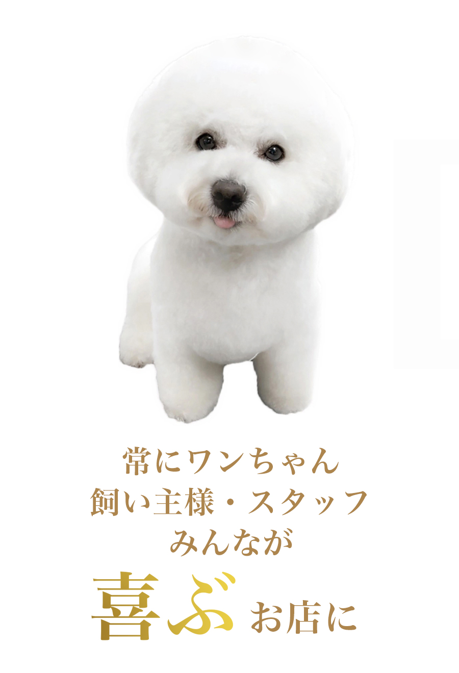 犬、飼い主様、スタッフ、みんなが喜ぶお店に