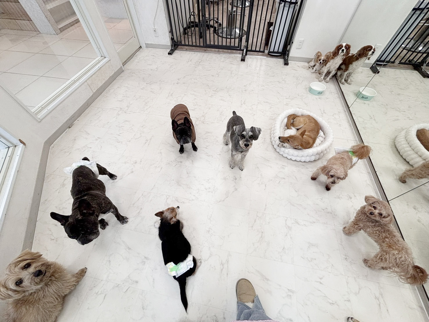 フリースペース